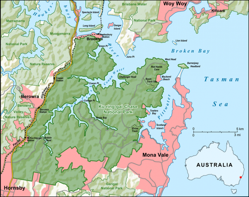 Rabbits on the Edge: The Belonging of Pests in Ku-ring-gai Chase ...