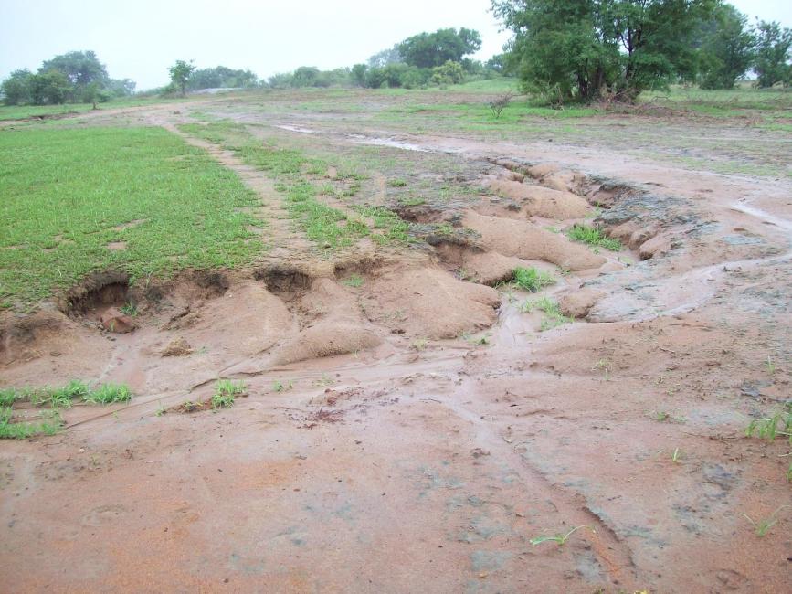 Ecological Impacts of Land Struggles in Makonde District, Zimbabwe ...