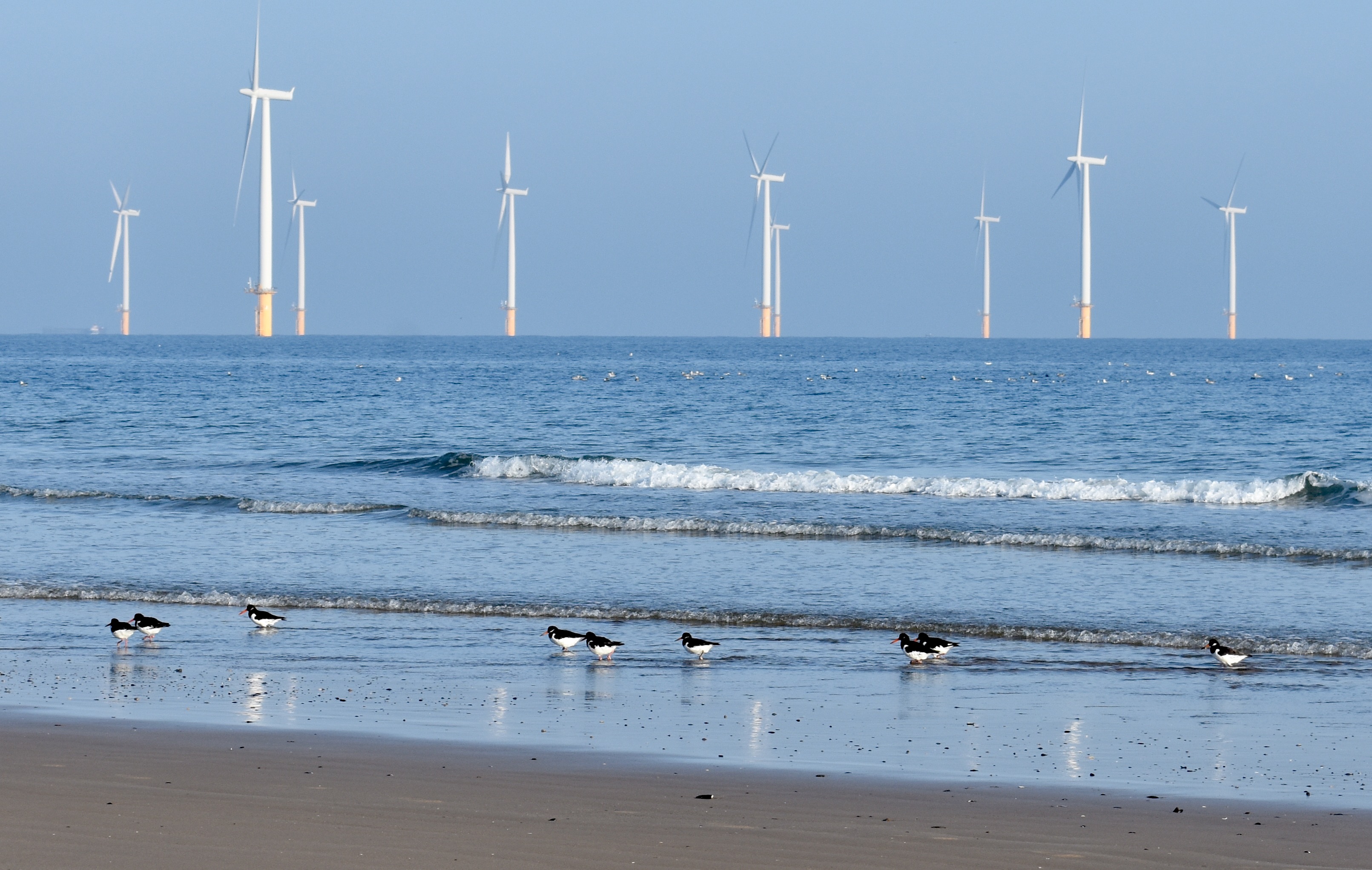 Sea Where there Once was Land: Redcar, England | Environment & Society  Portal