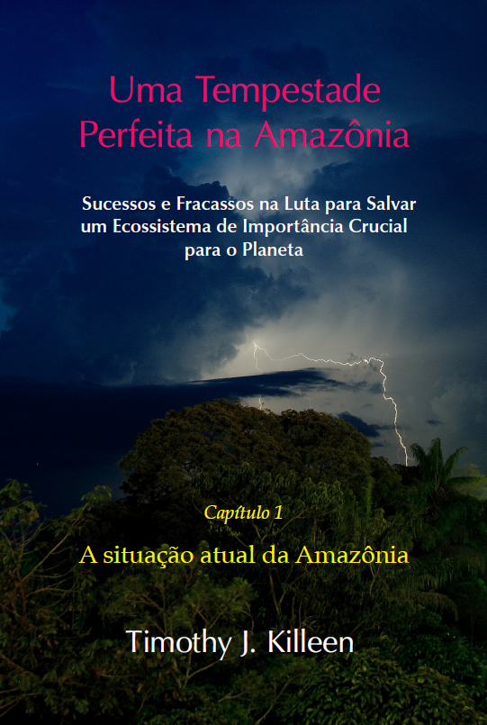 Uma tempestade perfeita na Amazônia | Environment & Society Portal